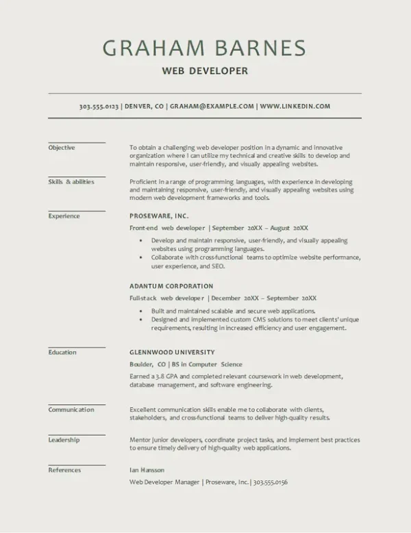 Modern web developer resume template with a sleek design for tech roles